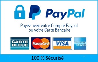 Paiement 100% sécurisé - Paypal